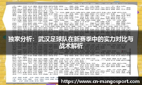 独家分析：武汉足球队在新赛季中的实力对比与战术解析